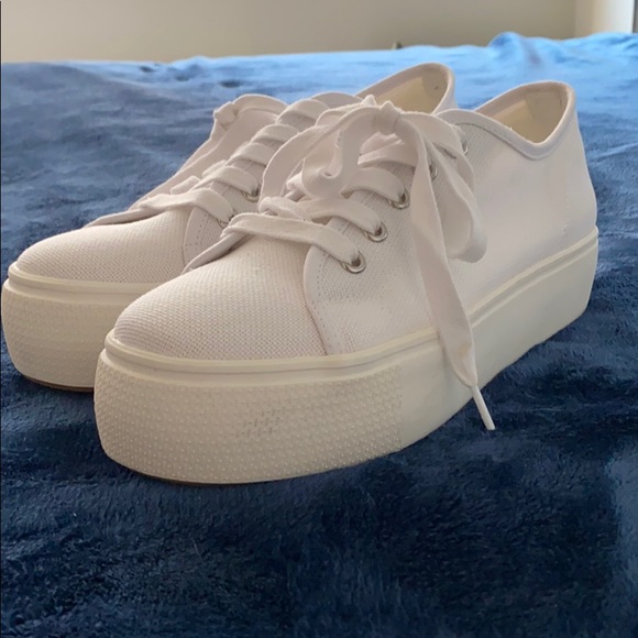 steve madden white canvas sneakers